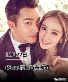 我在娱乐圈吃瓜爆红小说,吃瓜爆红背后的秘密风云